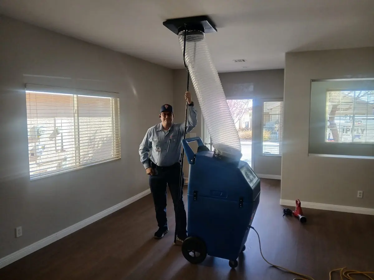 Professional Dryer Vent Cleaning work inside a Sunset home